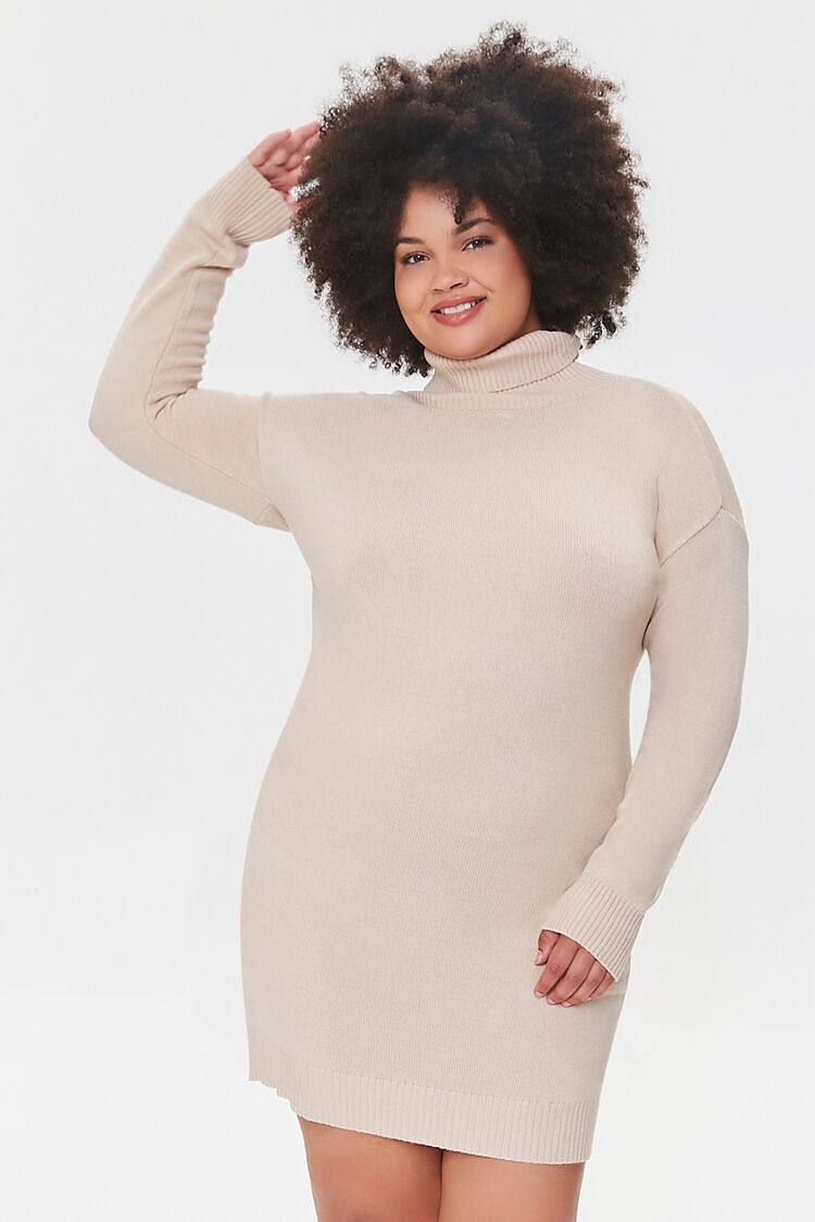 Plus Size Turtleneck Sweater Dress